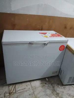 300litres Deep Freezer (Used)