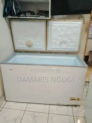 Haier Double Door Deep Freezer