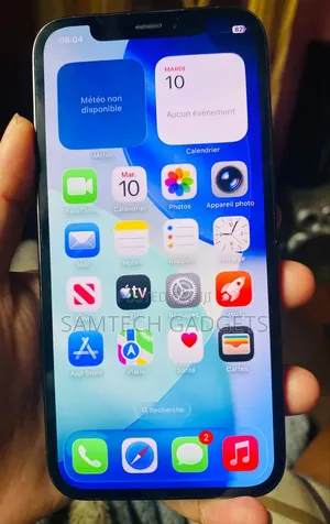 Apple iPhone 12 Pro 256 GB Gray