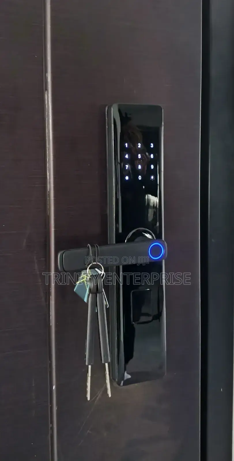 Tuya Smart Home Door Lock Code Rfid Card App Control Fingerprints
