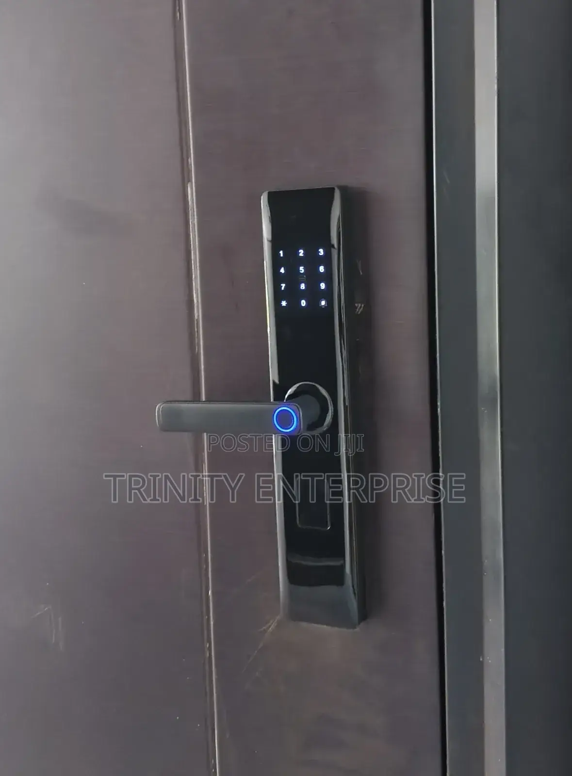 Biometric Wifi Smart Door Smart Door Lock