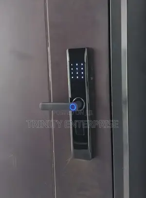 Biometric Wifi Smart Door Smart Door Lock