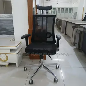 Ergonomic Lumbar Support Orthopedic Chair