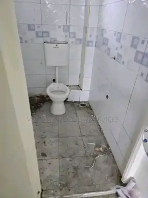 Plumbing Services