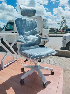 Office Furniture :Office White Gray Chair - High Back With Headrest