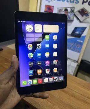 Apple iPad mini 5 256 GB Gray