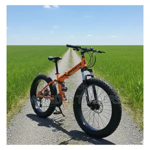 Flat Bike/ Foldable Fat Bike With Dual Suspension