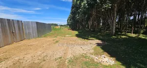 Prime 1⁄4 Plots for Sale in Annex Bethel Eldoret