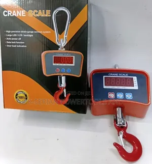 Commercial 500kg Mini Crane/Commercial Crane Scale 500kg