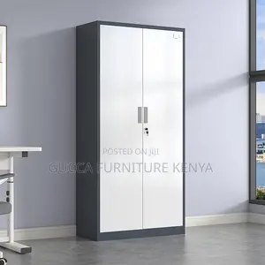 2-Door Full Steel Gray/White Filling Cabinet