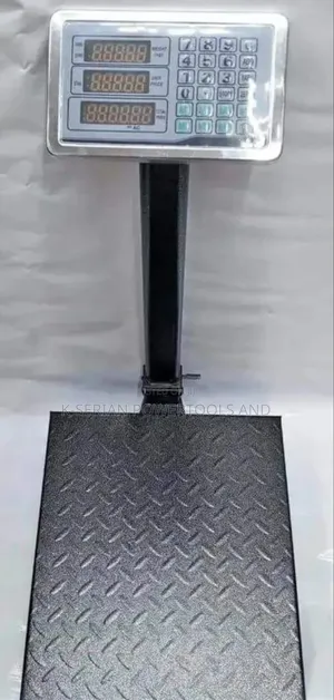 300kg Electric Platform Scale/Rechargeable 300kg Platform Scale