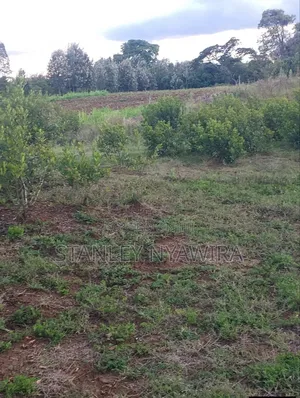 10 Acres Nanyuki Daiga Fronting River