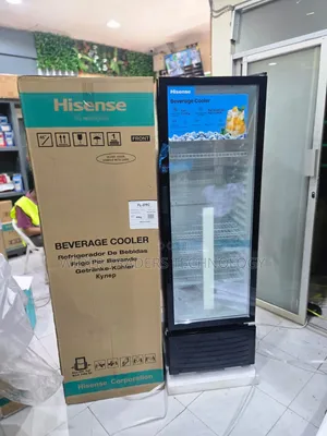 Hisense Showcase Fridge Fl 37 Fc