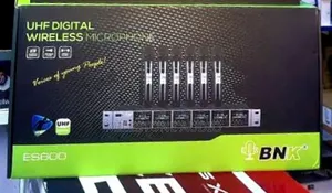 BNK Es 600 Wireless Mic