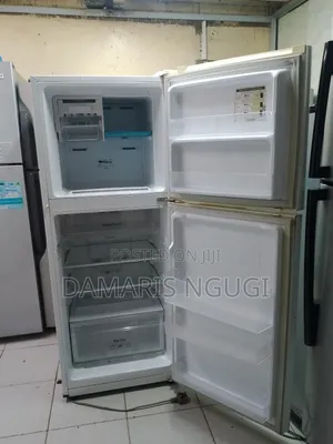 Double Door Fridge (Samsung)