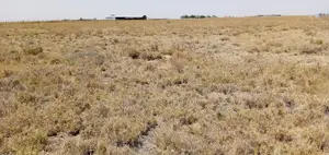 Plot for Sale in Kisaju, Kajiado County