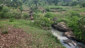 1.5 Acre Ithanga