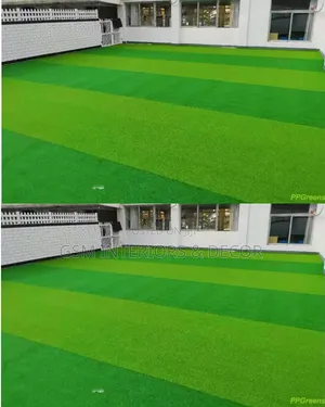 Lined in Artificial Green Grass Carpets 2in