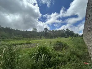1/2 Acre on Tarmac Mua