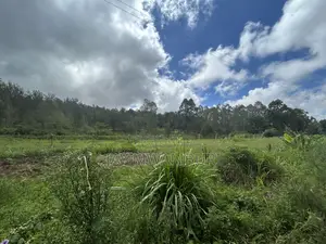 1/2 Acre on Tarmac Mua
