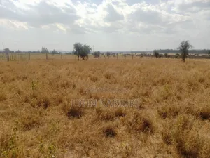5 Acres Land in Isinya Kajiado County Good Area for Development .
