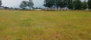 50x100 Pema Estate Plots, Nakuru || Springboard Investment LTD