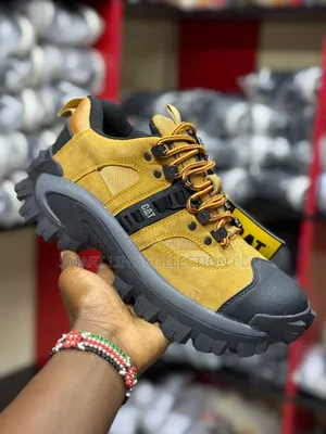 Cat Boots "Offers" Offer"