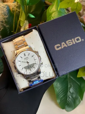 Casio Dual Time Watch