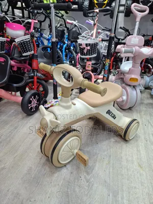 Luxury Kids Tricycles (2-4yrs )