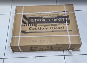 6u Network Data Cabinet