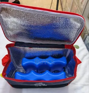 Cooler Bag With Ice Pack