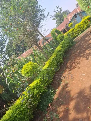 Residential Land for Sale in Ruaka