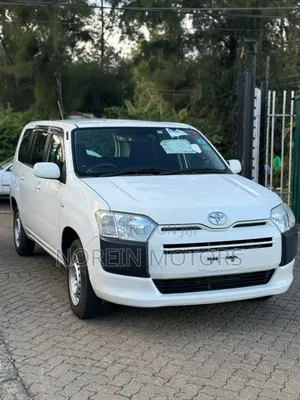 Toyota Probox 2019 Pearl
