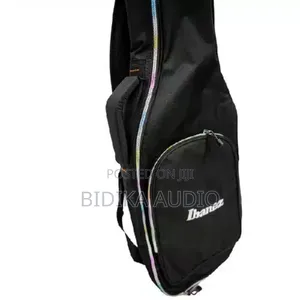 Acoustic Guitar Bags