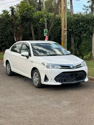 Toyota Axio 2019 Pearl