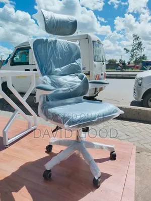 Ergonomic Office Chair