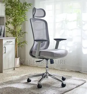 Office Chairs; Orthopedic Posture Executive High Sitting Chairs