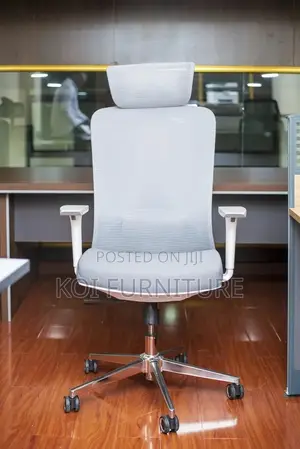 Office Chairs; Orthopedic Posture Executive High Sitting Chairs