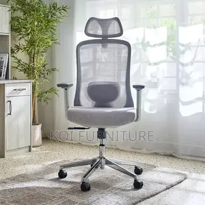 Office Chairs; Orthopedic Posture Executive High Sitting Chairs