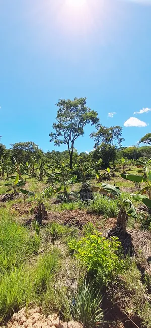 For Sale 12 Acres Land Msambweni