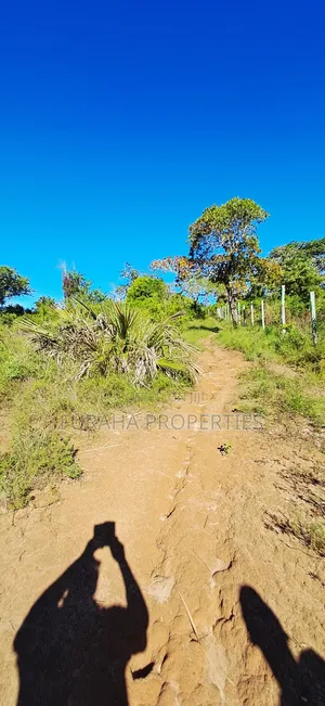For Sale 4 Acres for Sale Kwale