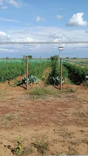 50 by 100 Plots for Sale in Rumuruti Posta Town
