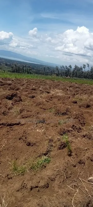 Land on Sale at Naivasha