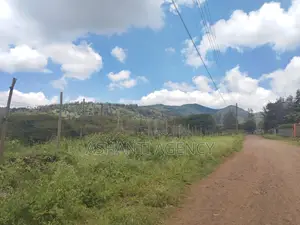 Prime Commercial Land
