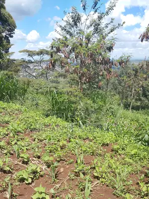 Prime Commercial Land