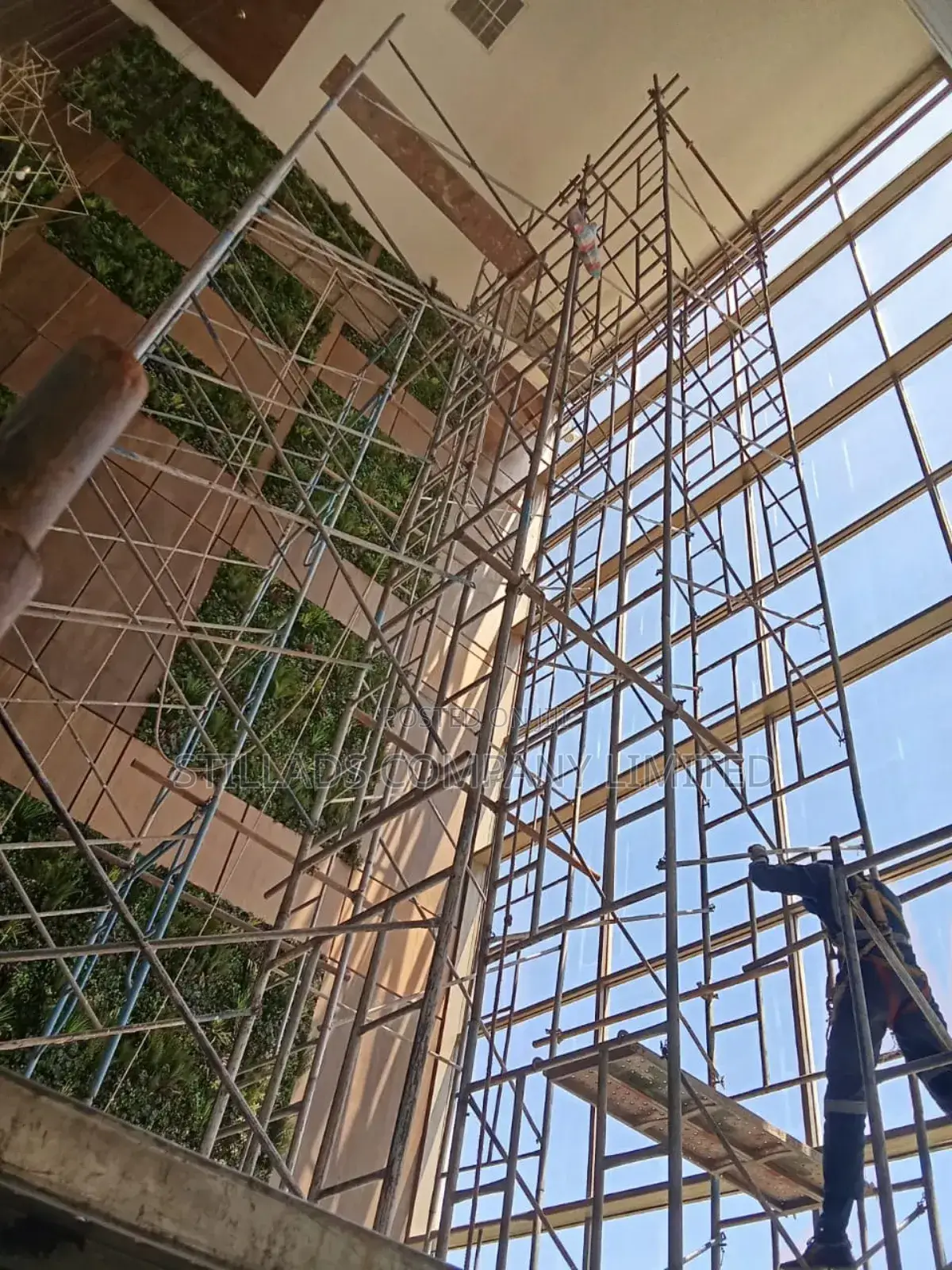 High Tower Access Ladders