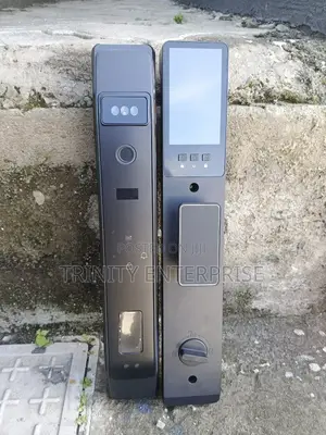 Automatic Electronic Lock Wifi Smart Lock Tuya 3d Face Recognition