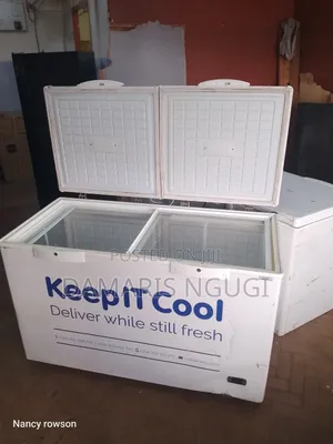 Super Clean Deep Freezer (White)