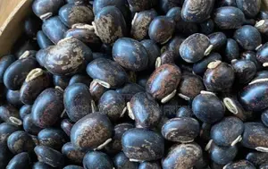 Velvet Beans ( Mucuna ) 1 Kg