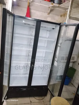 Display Double Door Fridge , Well Maintained.